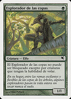 Treetop Scout #B6