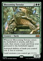 Blossoming Tortoise #163