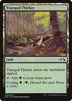 Tranquil Thicket #26