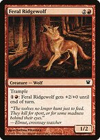 Feral Ridgewolf #142