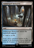 Submerged Boneyard #301