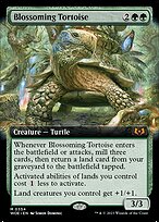 Blossoming Tortoise #354