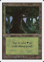 Forest #302