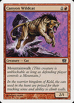 Canyon Wildcat #181