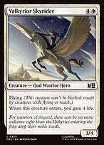 Valkyrior Skyrider #525