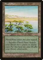 Flood Plain #326