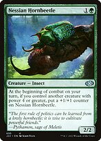 Nessian Hornbeetle #695