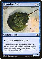 Horseshoe Crab #55