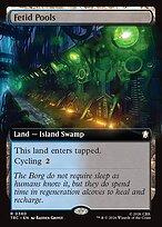 Fetid Pools #380