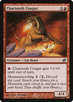 Chartooth Cougar #47