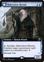 Malevolent Hermit // Benevolent Geist #336