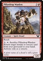Pillardrop Warden #112