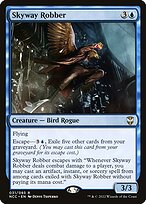 Skyway Robber #31
