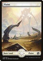 Plains #278