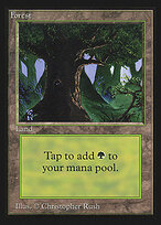 Forest #302