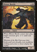 Blister Beetle #66