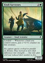 Xindi Surveyors #225
