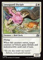 Lotusguard Disciple #21