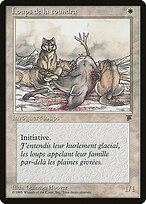 Tundra Wolves #21