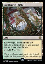 Razorverge Thicket #257p