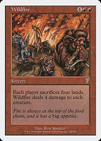 Wildfire #228