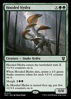 Hooded Hydra #171