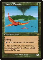 Birds of Paradise #336