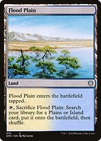 Flood Plain #210