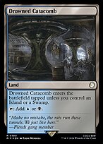 Drowned Catacomb #790