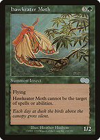 Hawkeater Moth #259
