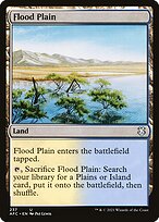 Flood Plain #237