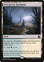 Overgrown Farmland #265