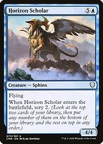 Horizon Scholar #73