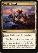 Seaside Citadel #245