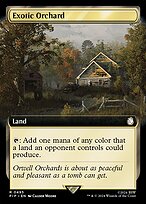 Exotic Orchard #495