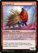 Porcuparrot #128