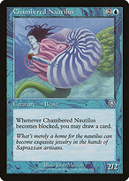 Chambered Nautilus #64