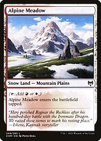 Alpine Meadow #248
