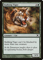 Stalking Tiger #299