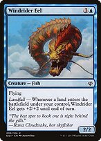 Windrider Eel #30