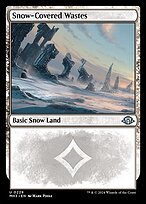 Snow-Covered Wastes #229