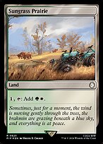 Sungrass Prairie #823