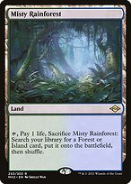 Misty Rainforest #250