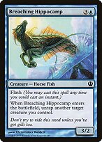 Breaching Hippocamp #43