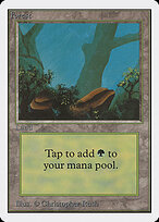 Forest #300