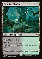 Festering Thicket #61