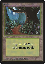 Forest #301