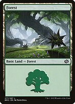 Forest #277