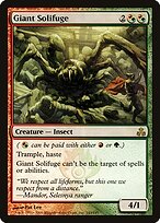 Giant Solifuge #143