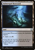 Submerged Boneyard #141